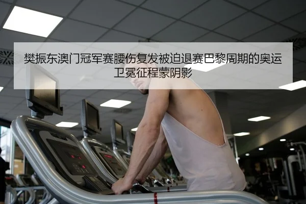 樊振东澳门冠军赛腰伤复发被迫退赛巴黎周期的奥运卫冕征程蒙阴影